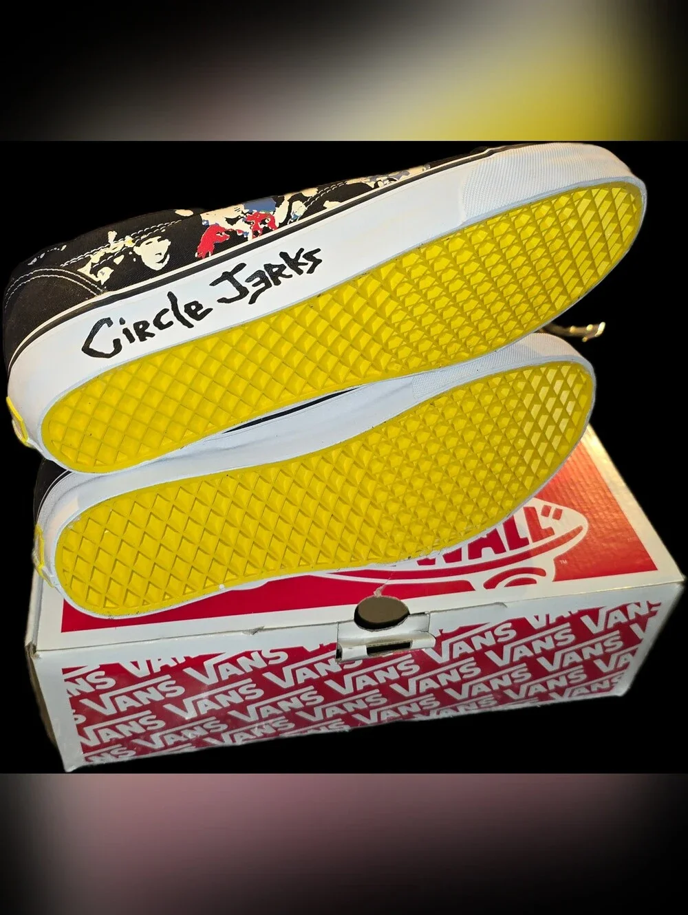 Vans Circle Jerks Old Skool Lace up